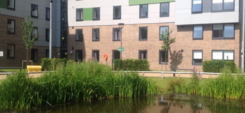 A photo of the halls of residence at the university.